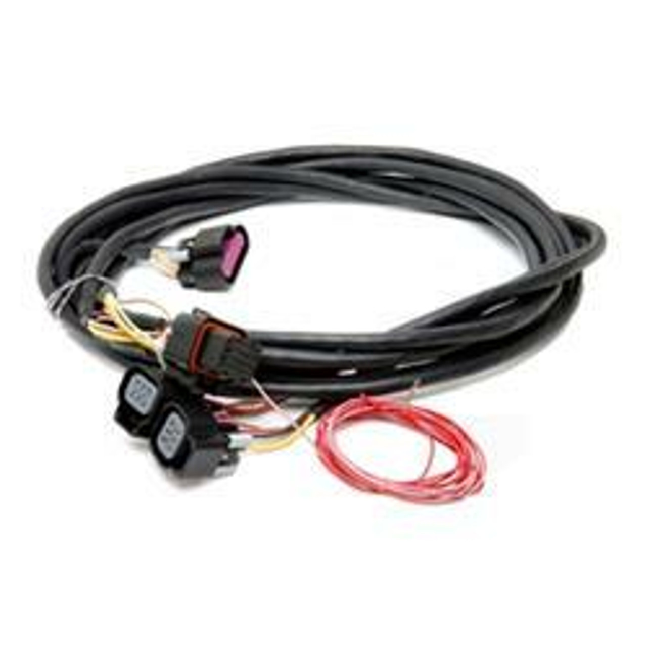 Engine Management System Wiring Harnesses